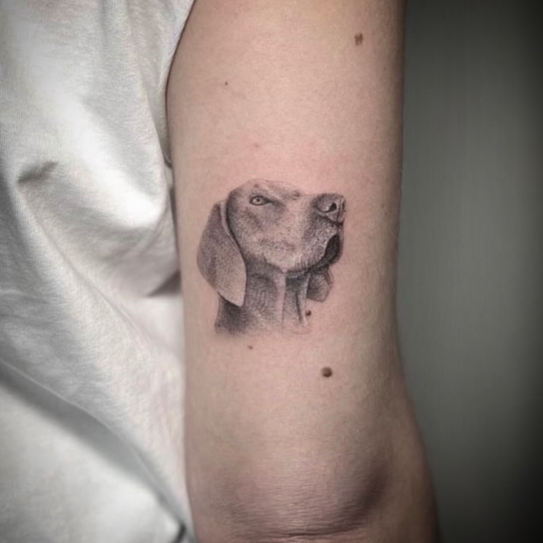 Microrealism dog portrait