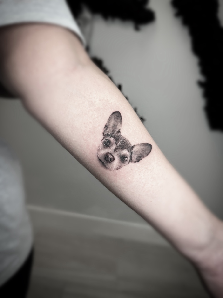 Microrealism chihuahua portrait