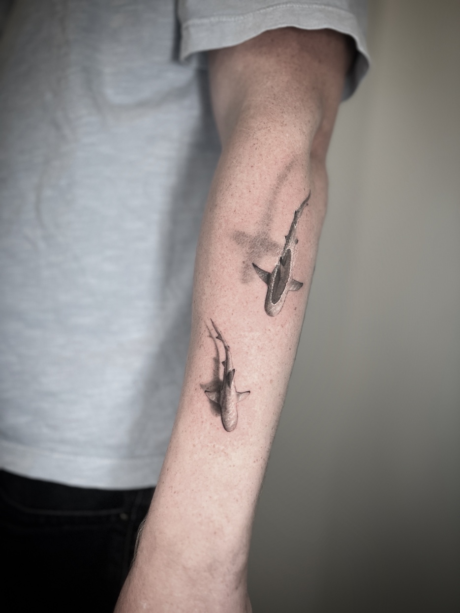 Microrealism duo of sharks