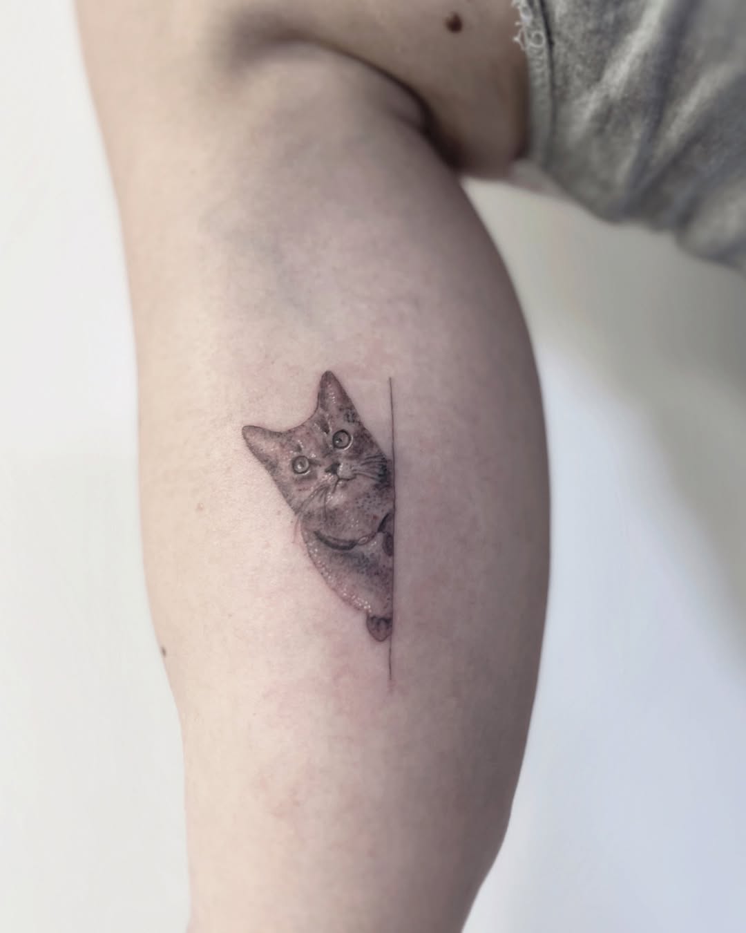 Microrealism cat portrait tattoo Orlando Tampa by AsierTATTOO