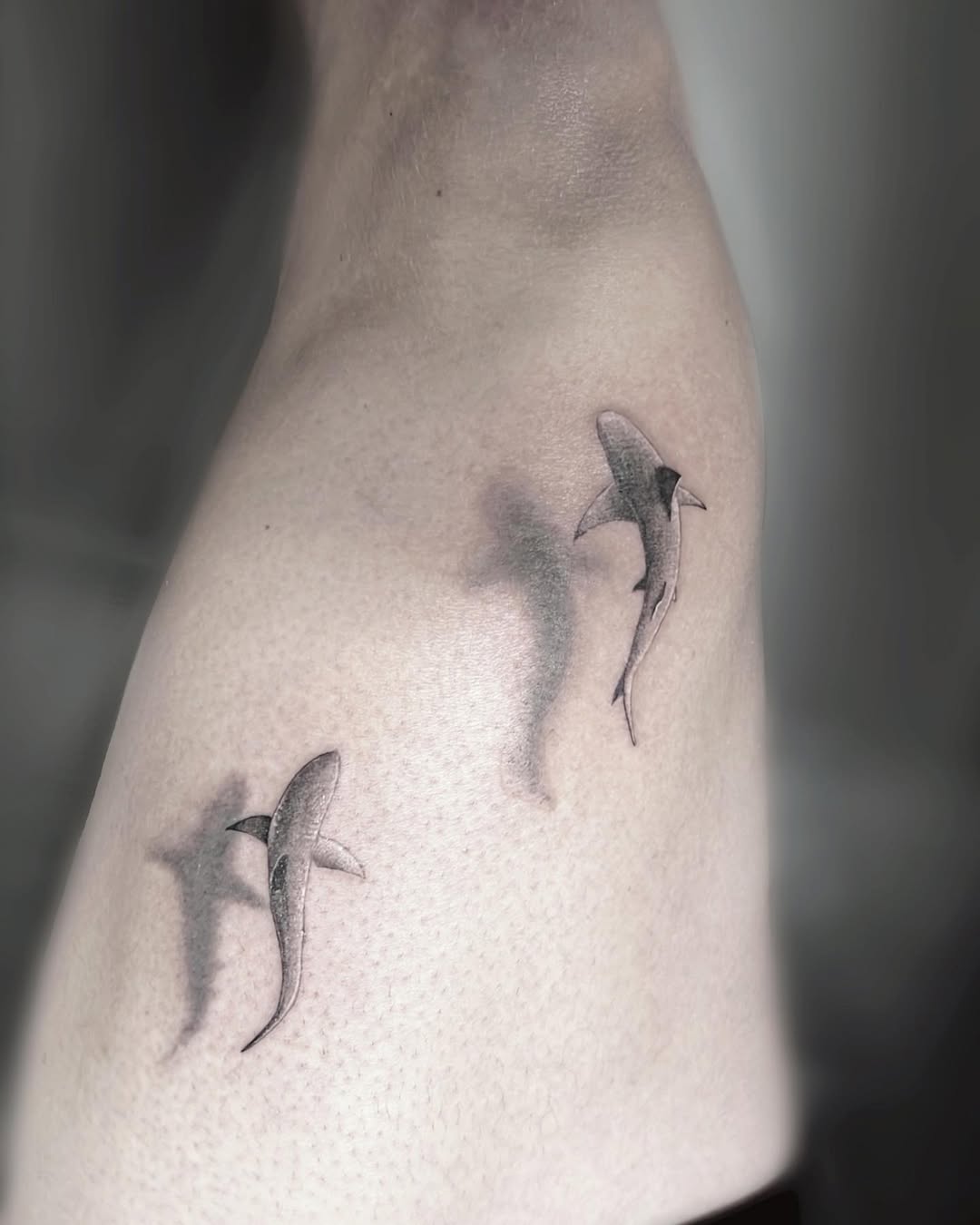 Fine line microrealism sharks tattoo by AsierTATTOO Orlando Florida